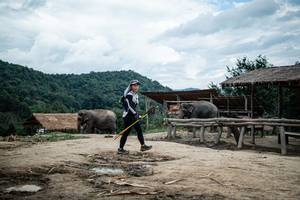 BIB: 
                            <button type="button" onclick="openModal(22423456)" class="btn btn-primary btn-sm float-right btn-popup" data-toggle="modal" data-target=".modal-high-quality">
                        <i class="fas fa-shopping-cart"></i> Add to Cart
                    </button>
                                            <button type="button" onclick="isThisMe(22423456, true)" class="btn btn-success btn-sm float-right btn-popup btn-isme hidden" data-toggle="tooltip" data-placement="bottom" title="นี่คือรูปของคุณใช่ไหม คลิกที่นี่เพื่อเอาเข้าอัลบั้ม">
                        <i class="fas fa-plus"></i> Add to album
                    </button>
                    <button type="button" onclick="isThisMe(22423456, false)" class="btn btn-warning btn-sm float-right btn-popup btn-isnotme hidden">
                        <i class="fas fa-ban"></i> Remove from album
                    </button>